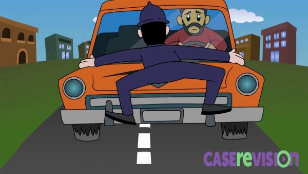 Case Revision
