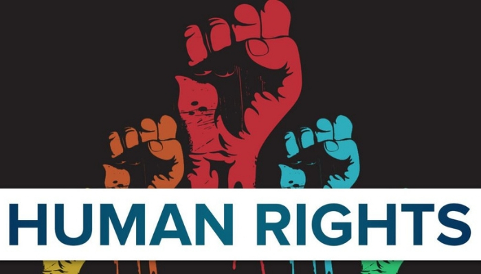 Human rights law assignment help
