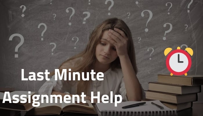 last minute assignment Help