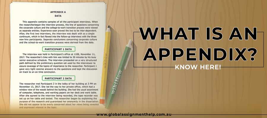 Why Students Need Assignment Help? 6 Reasons That Make the Difference